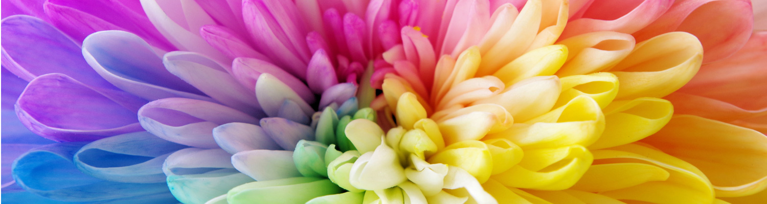 オリジナルHP制作